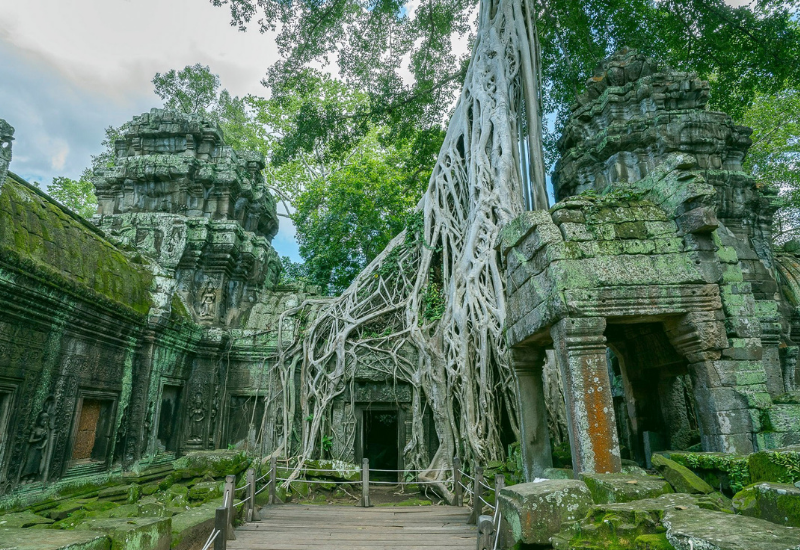 Magnificent sunrise Angkor tour